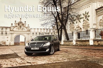Hyundai equus. идентификация